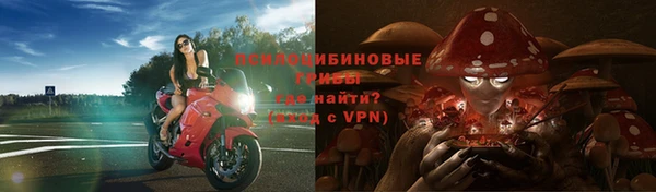 a pvp Гусев
