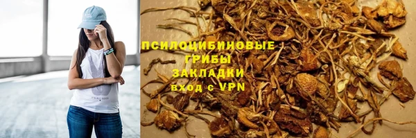a pvp Гусев
