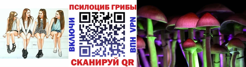 Купить закладки  Рыбное  Псилоцибиновые грибы Psilocybine cubensis 