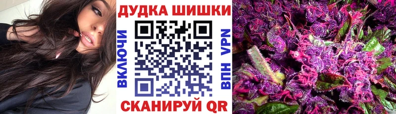 Шишки марихуана марихуана  Купить где  Рыбное 
